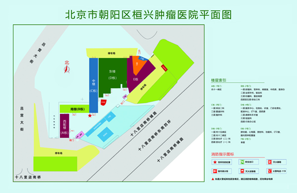 美女被爆操黄色网站北京市朝阳区桓兴肿瘤医院平面图